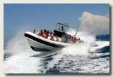 Riviera Maya Yucatan Explorer Adventure Tours - F1 Offshore Power Boats