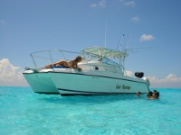 Boat Snorkeling Tour