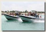 Riviera Maya Yucatan Explorer Adventure Tours - F1 Offshore Power Boats