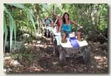 Riviera Maya Yucatan Explorer Adventure Tours - ATV